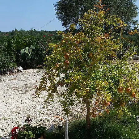 Trullo Tre Coni